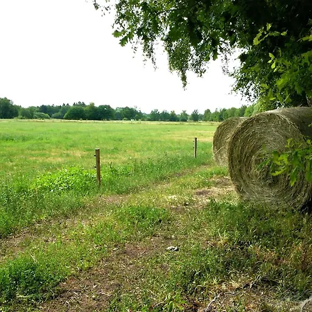 Lantgård Schaefchenwolke Auf Dem Bauernhof *