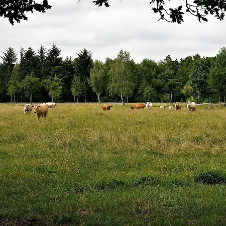 Lantgård Schaefchenwolke Auf Dem Bauernhof Worpswede